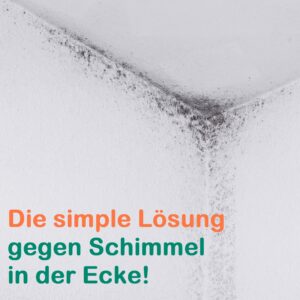 Schimmel in der Ecke - meist sind geometrische Wärmebrücken die Ursache - dafür gibt es eine einfache Lösung mit Geo Dämmkeilen.
